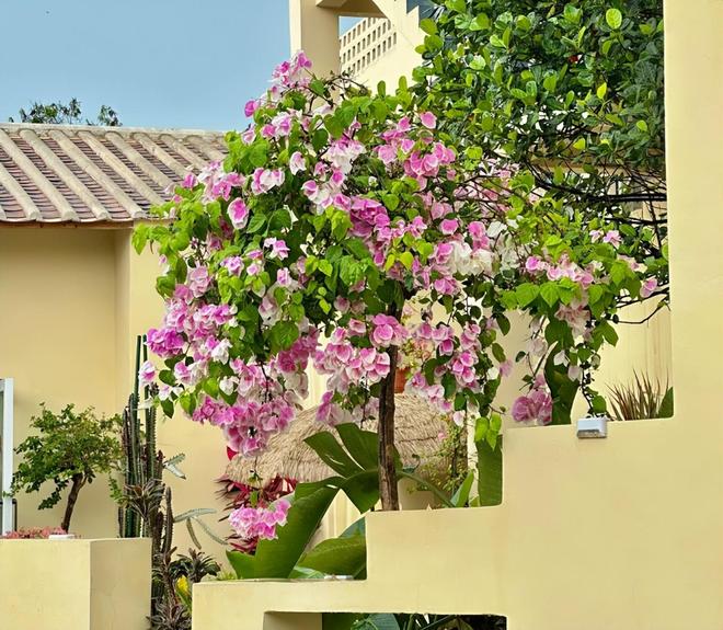 海亲子游5天4晚价格跟团五日游报价开元棋牌北海亲子跟团游多少钱？北(图2)