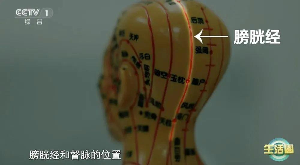 康问题 护发与健康小贴士快收藏开元棋牌不同位置白发反映不同健(图5)